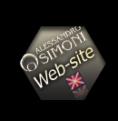 Simoni Alessandro web-site eng